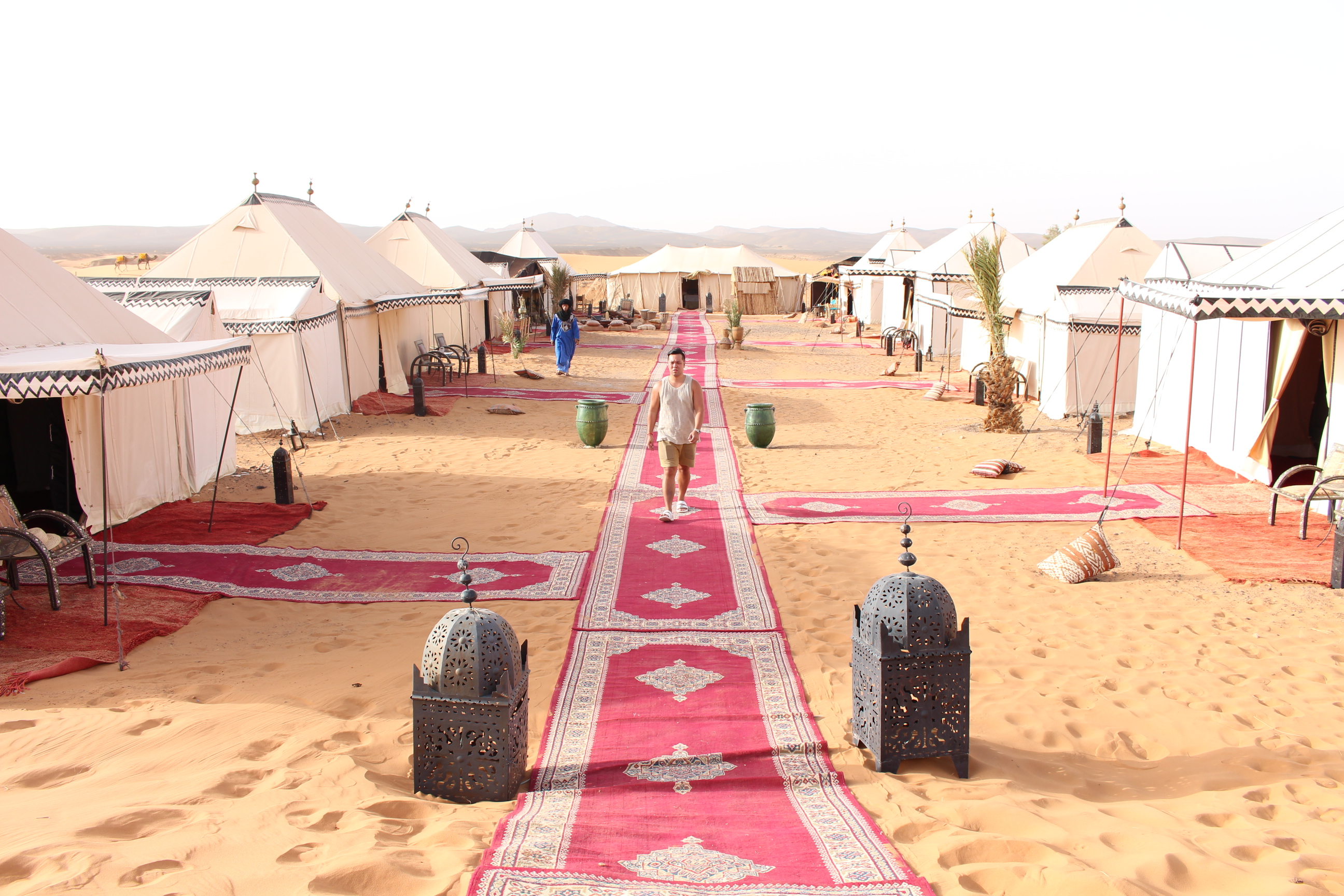 A sea of soft, warm, apricot-toned sands – the undulating landscape of the Erg Chebbi desert is one of Morocco's most enchanting natural wonders.